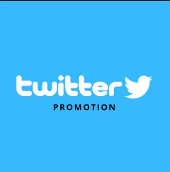Twitter Promotion cover